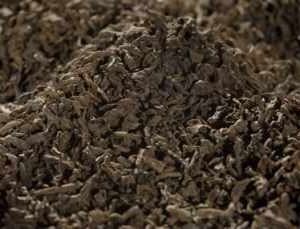 Té negro Lapsang Souchong Tarry ahumado a granel, Otra Historia
