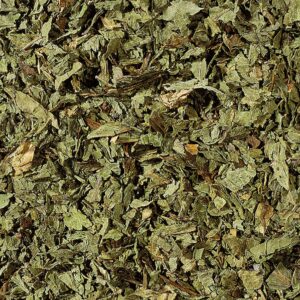 Menta Piperita