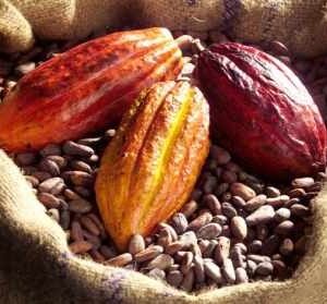 Habas de cacao tostadas de la tienda Otra Historia