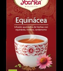 Bolsitas Yogi Tea Equinácea con canela y jengibre